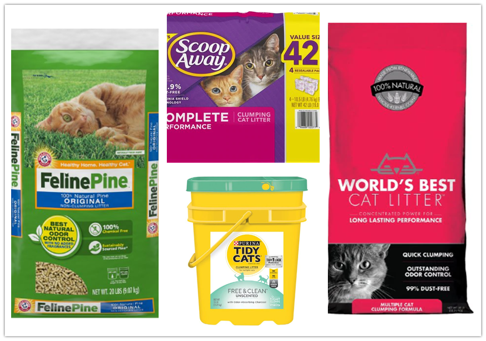 7 Best Cat Litters For Odor Control