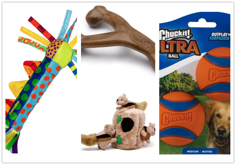 8 Fun And Durable Dog Toys To Keep Your Pup Entertained